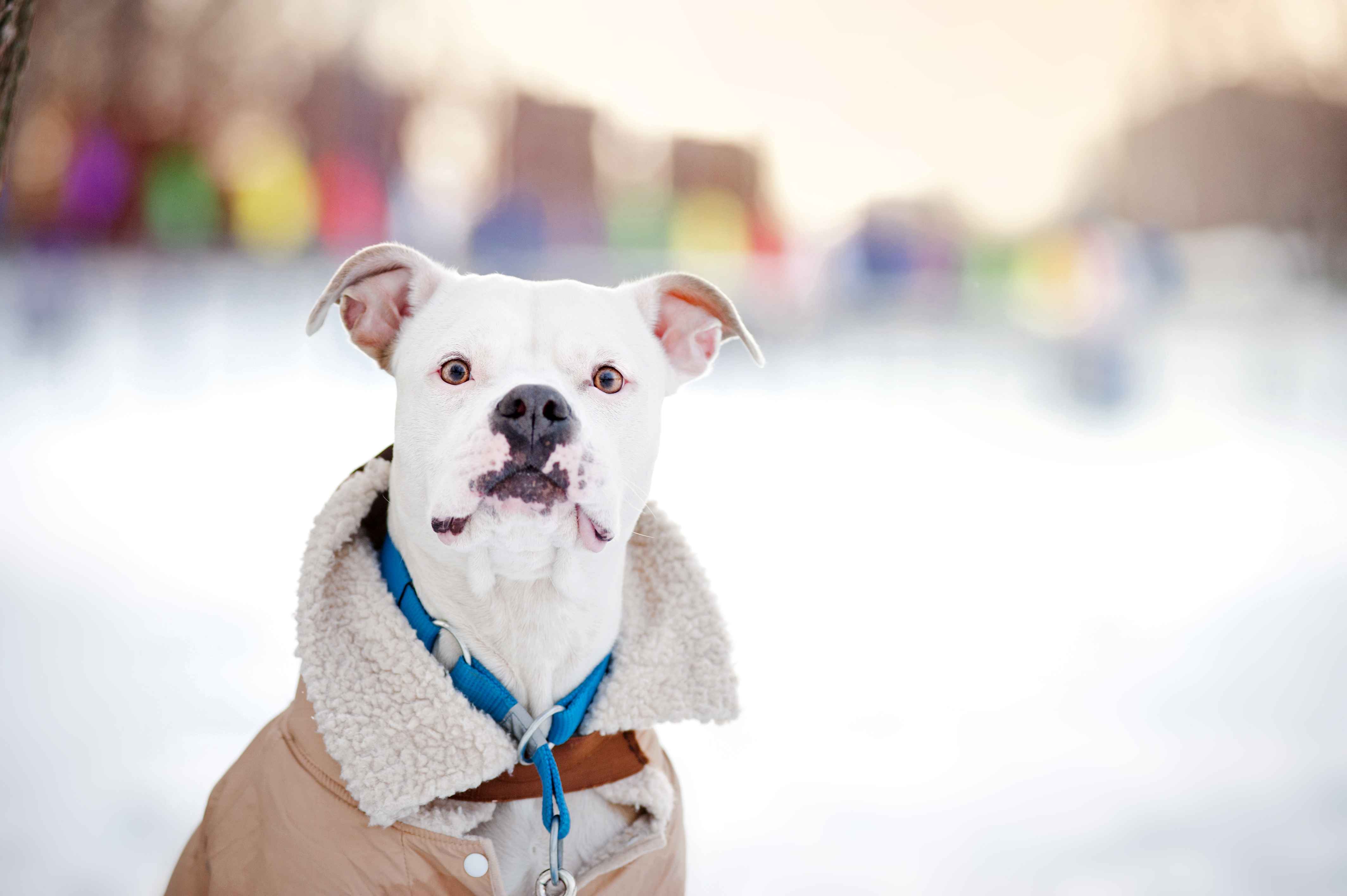 Phoscrete is the concrete that is tougher than winter